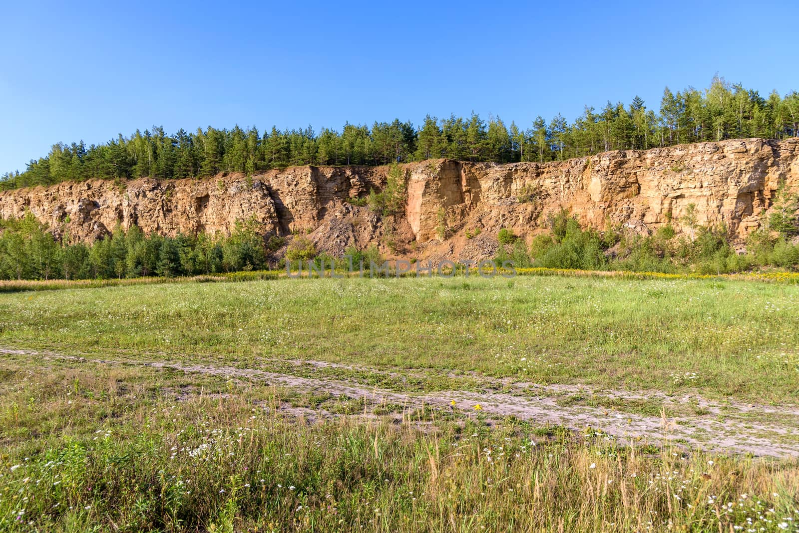 Meadow in an old quarry in Grodek park in Jaworzno by mkos83