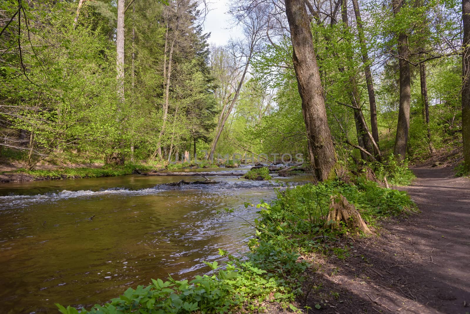 View of cascades on Tanew river in nature reserve Nad Tanwia in eastern Poland