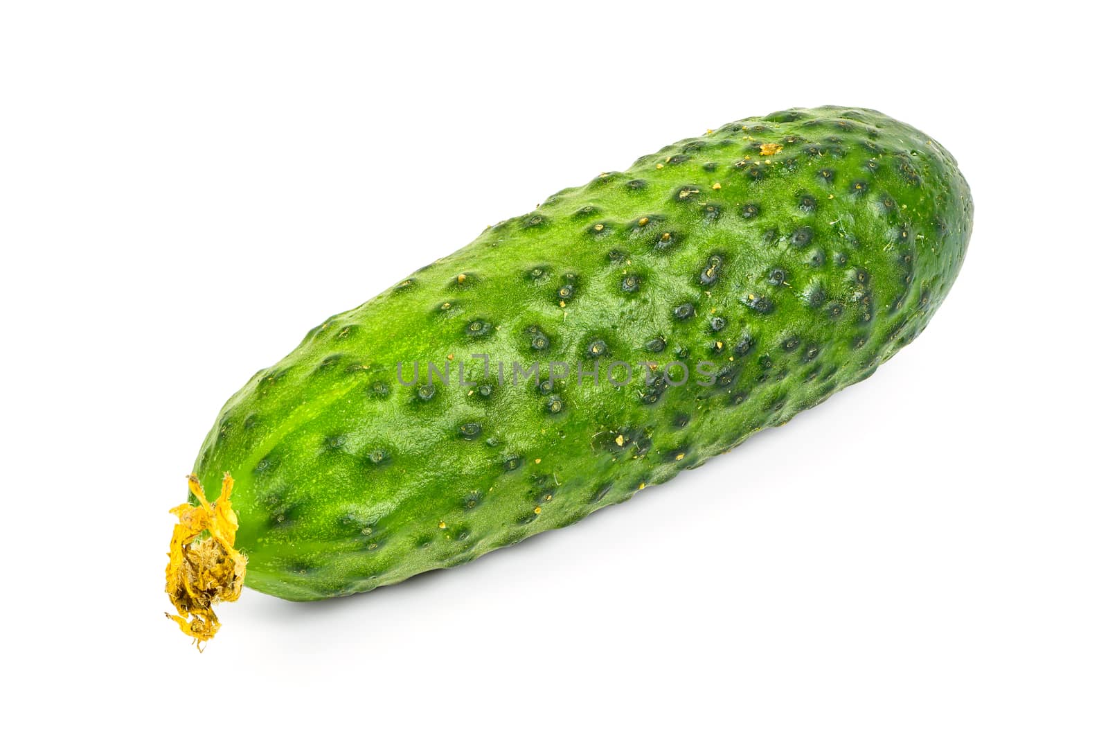 Single fresh cucumber on white background by mkos83