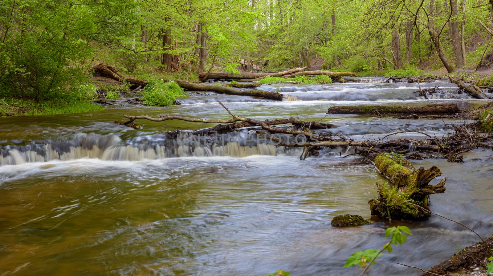 View of cascades on Tanew river in nature reserve Nad Tanwia in eastern Poland