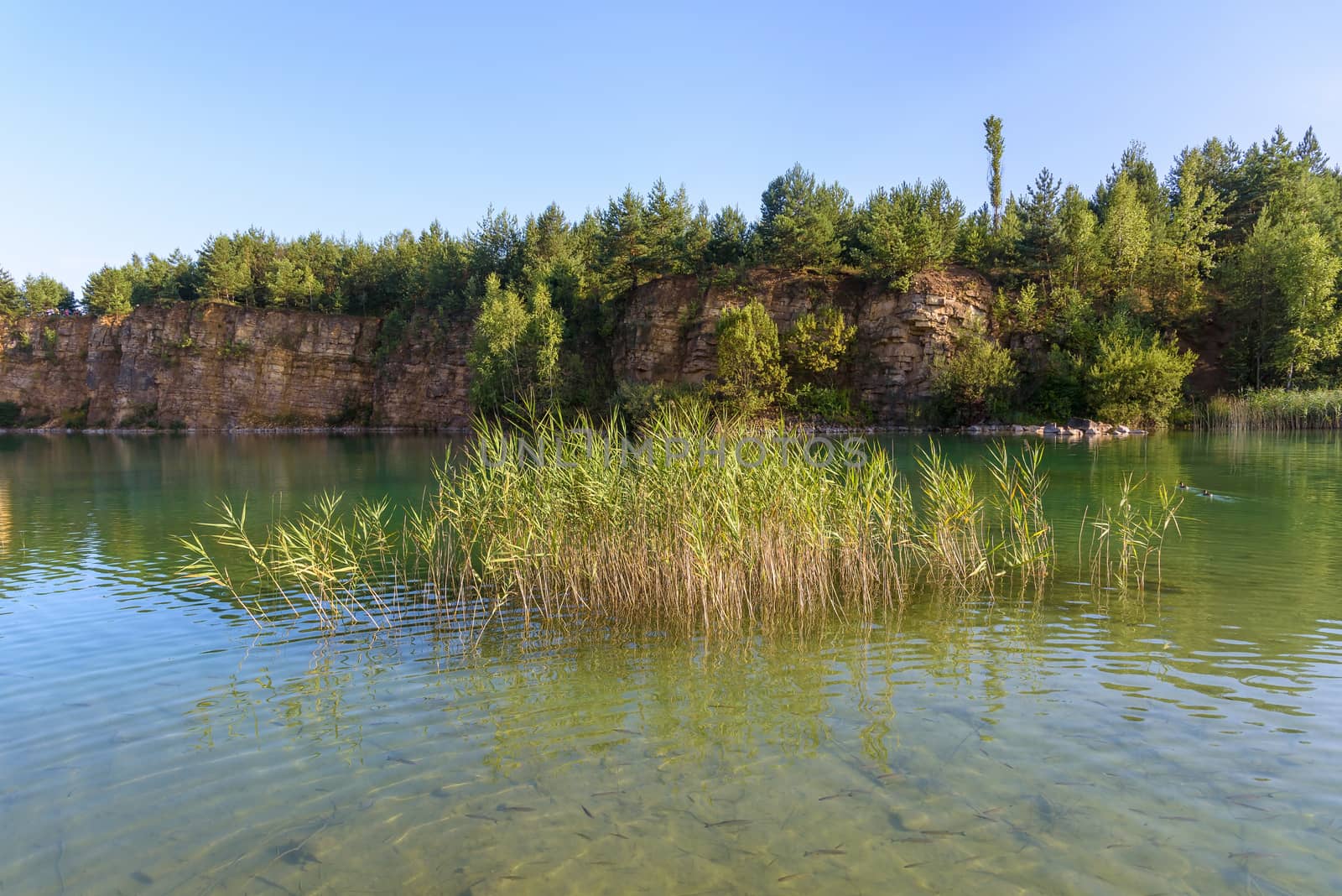 Pond in an old quarry in Grodek park in Jaworzno by mkos83