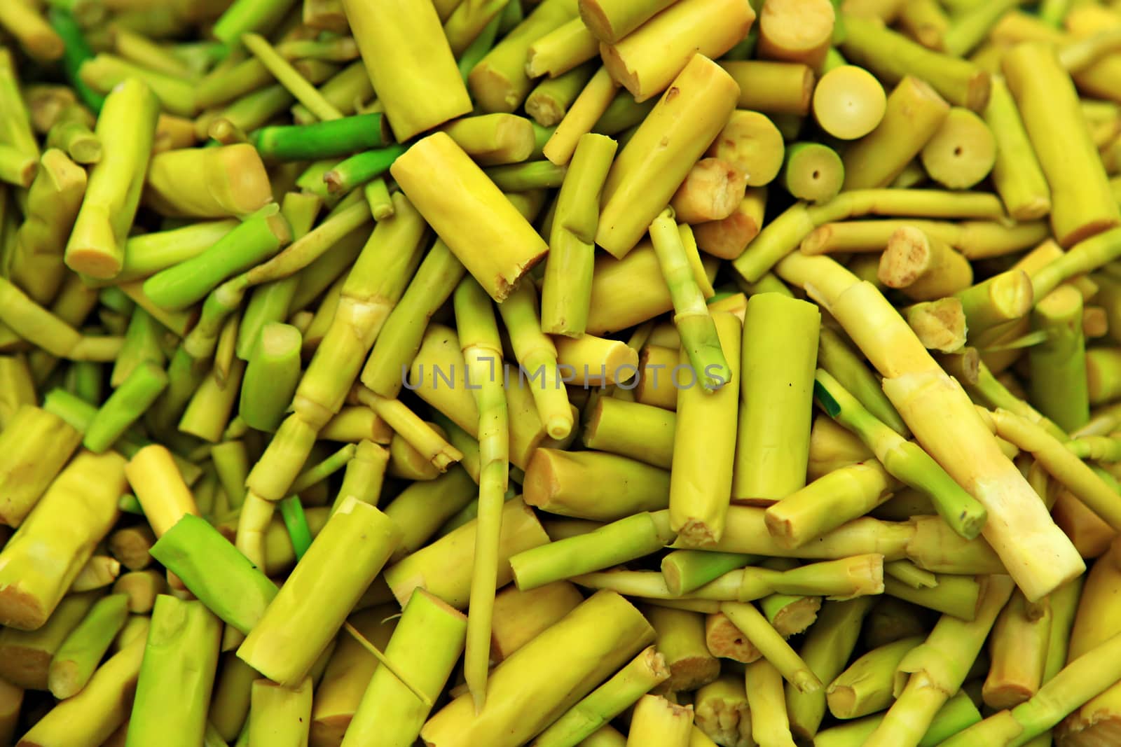 Fresh Bamboo shoots or bamboo sprouts background by Mercedess