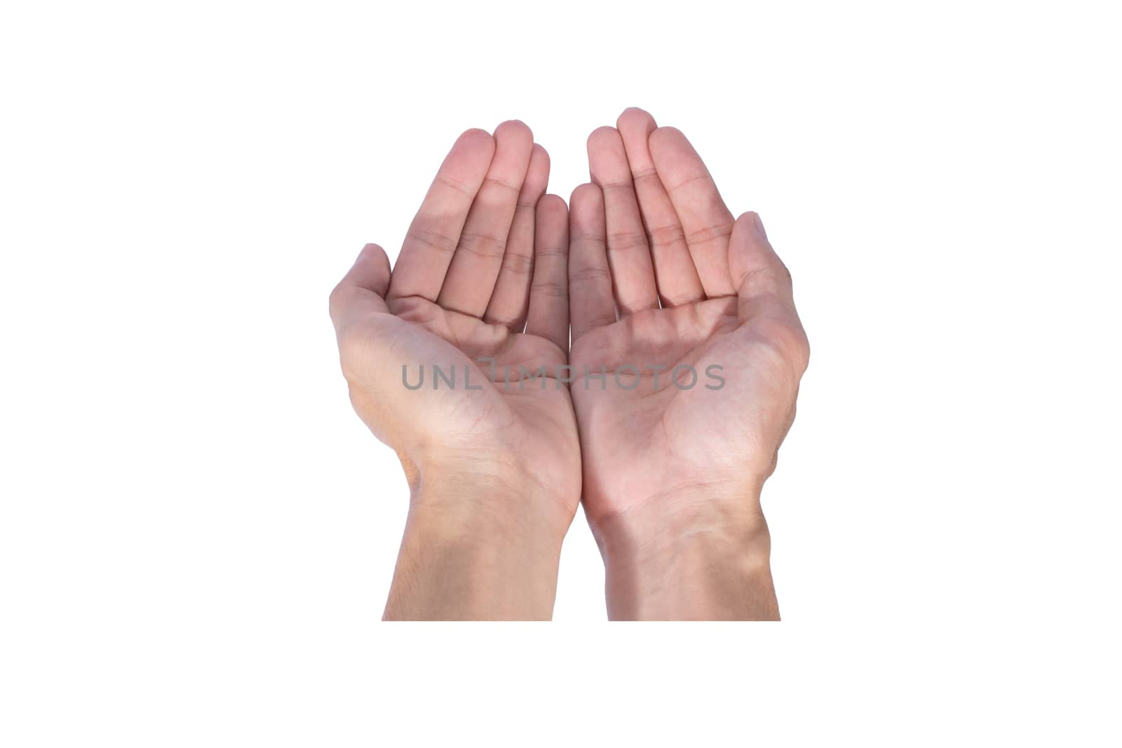 The human hand in the white background