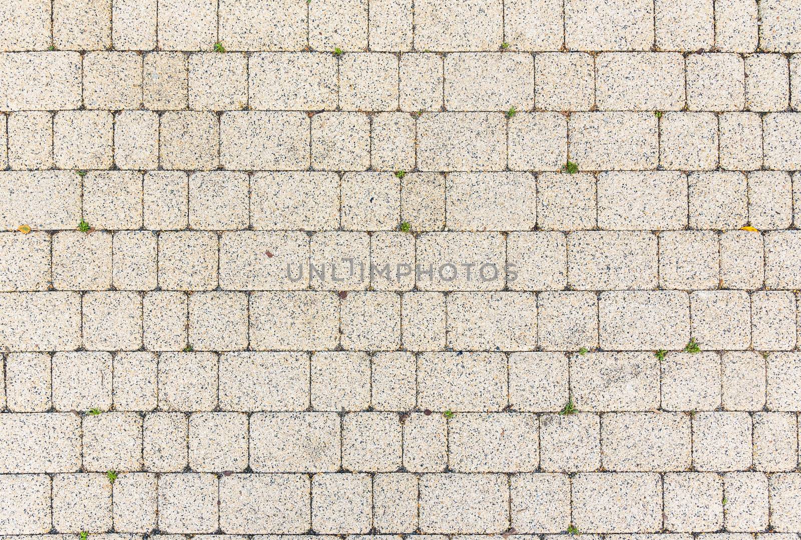 Yellow sett bricks - texture or background, pavement.