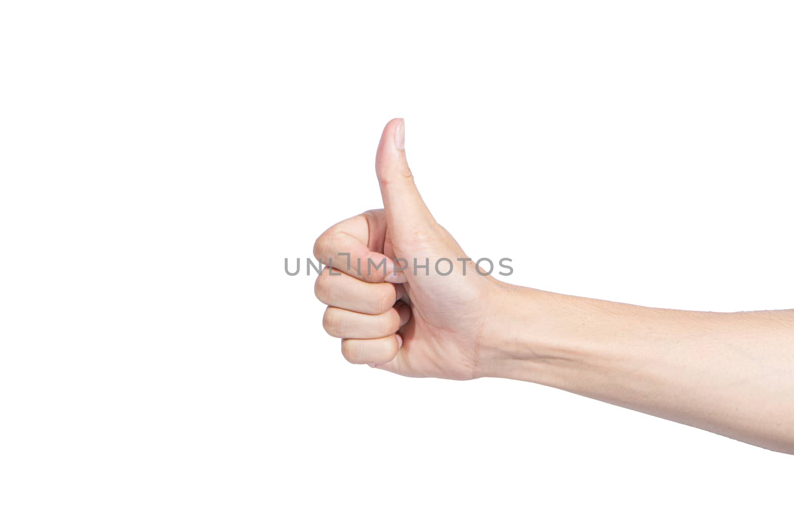 The human hand in the white background