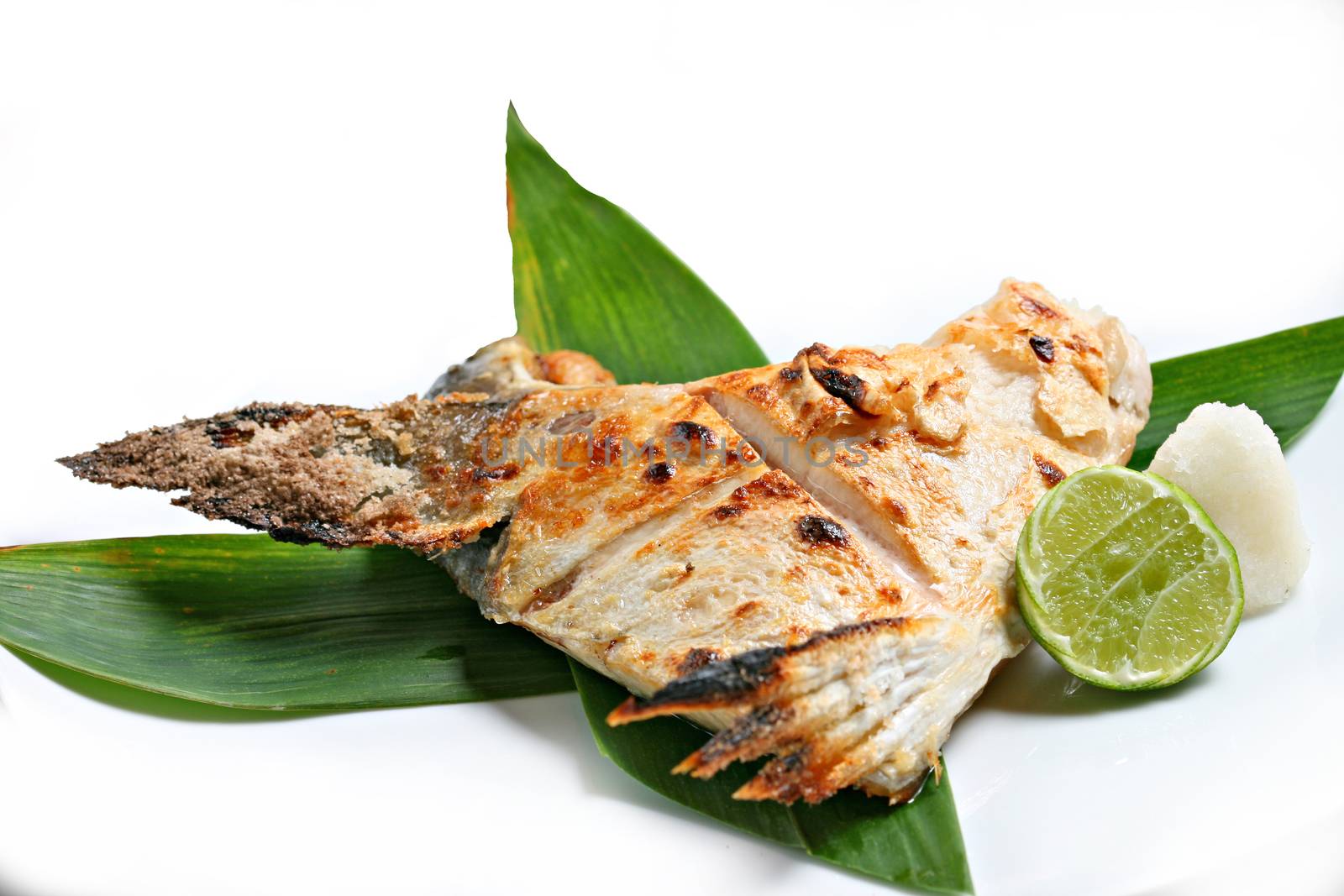 Charcoal Grilled Hamachi kama, Japanese Food Style served with lemon in white background