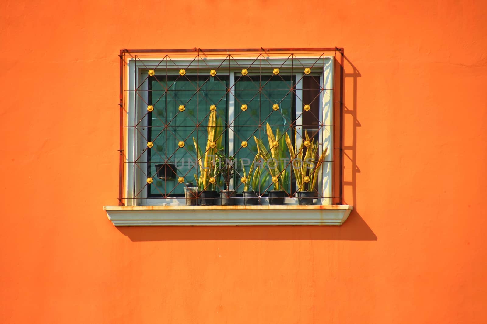 Window on an Orange Wall by Sonnet15