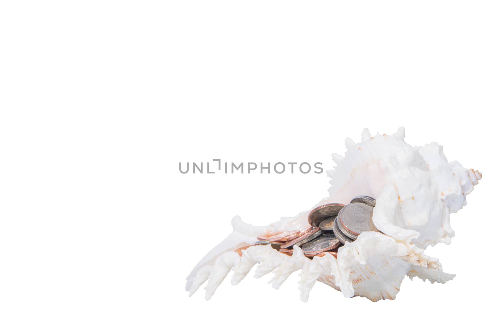 Saved money in a white shell, a white background. by Aukid