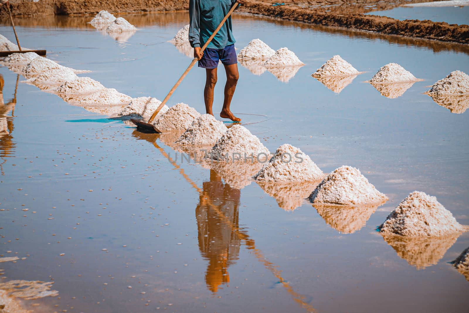 Harvesting Sea salt in Kampot Cambodia by Sonnet15