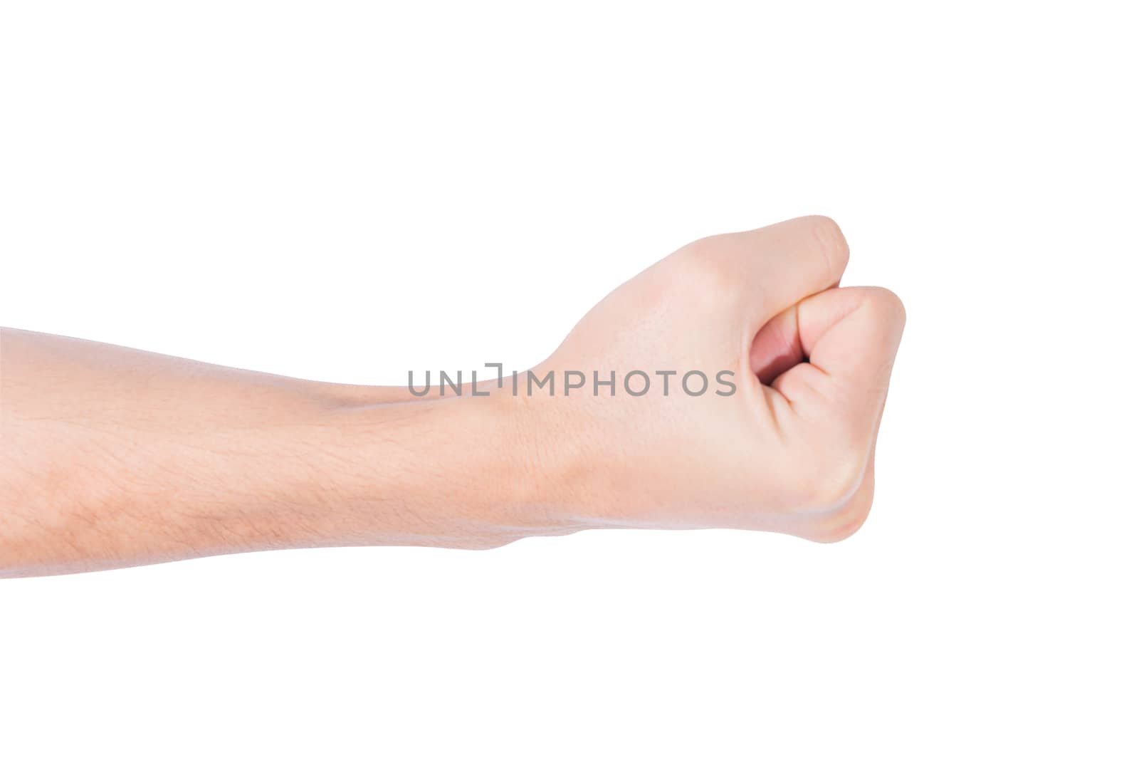 The human hand in the white background