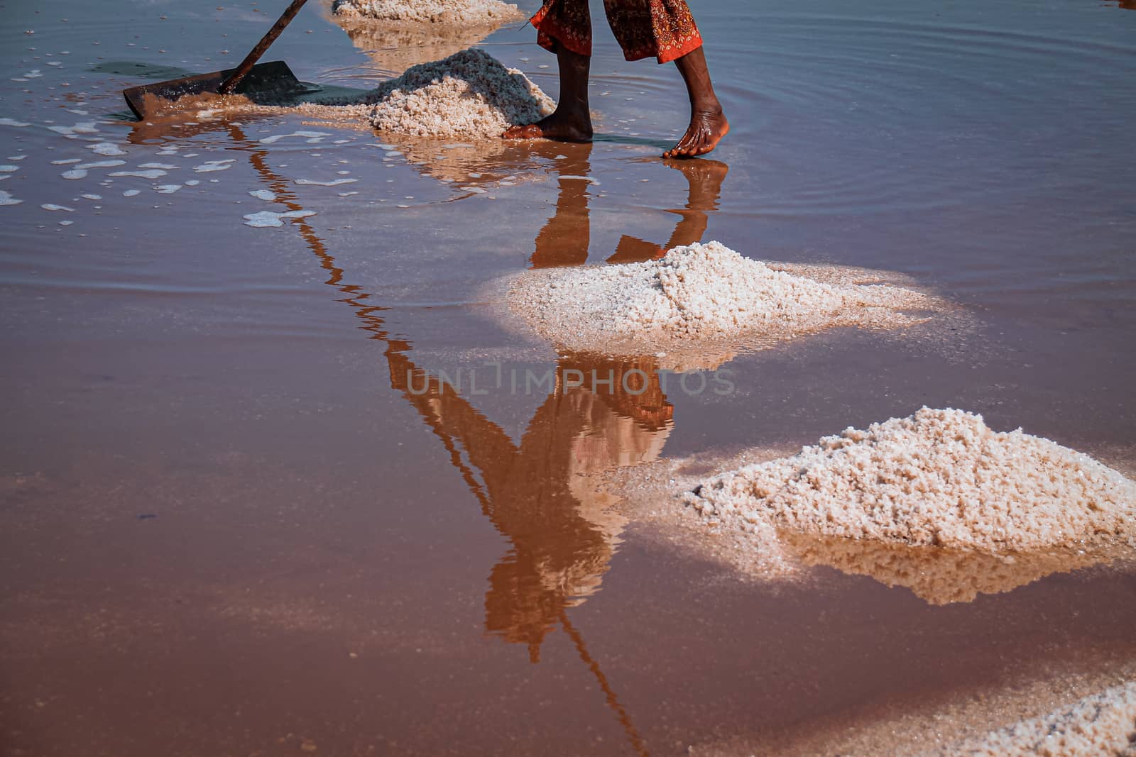 Sea salt Harvesting in Kampot by Sonnet15