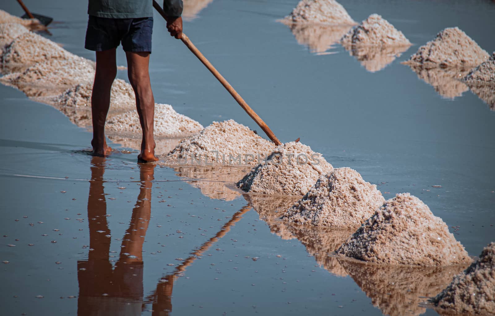 Sea salt harvesting in Kampot Cambodia by Sonnet15