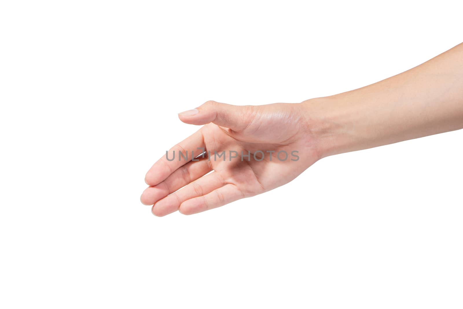 Hand gestures in a white background