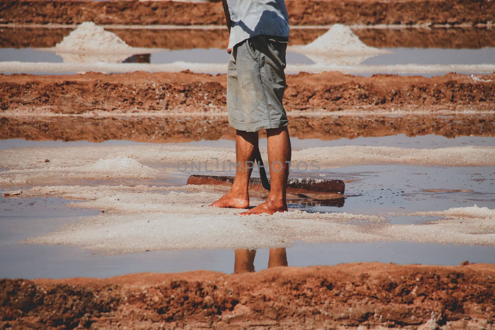 Havesting Salt in Kampot by Sonnet15