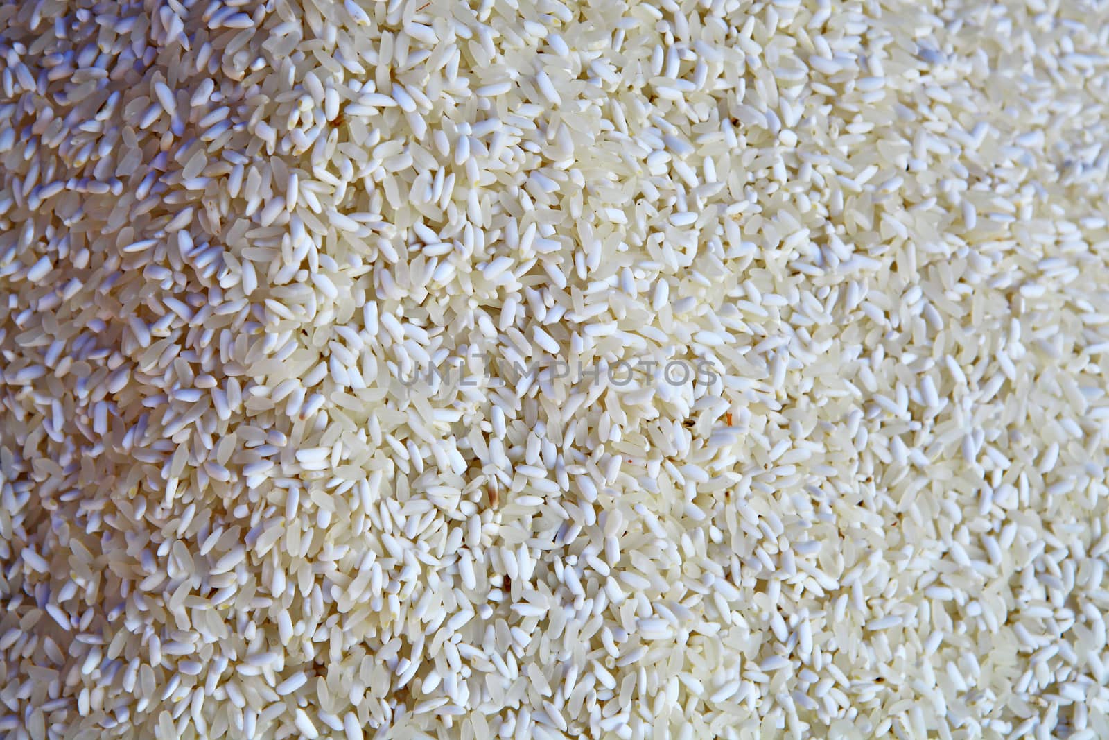 White sticky rice or long grain glutinous rice from Thailand