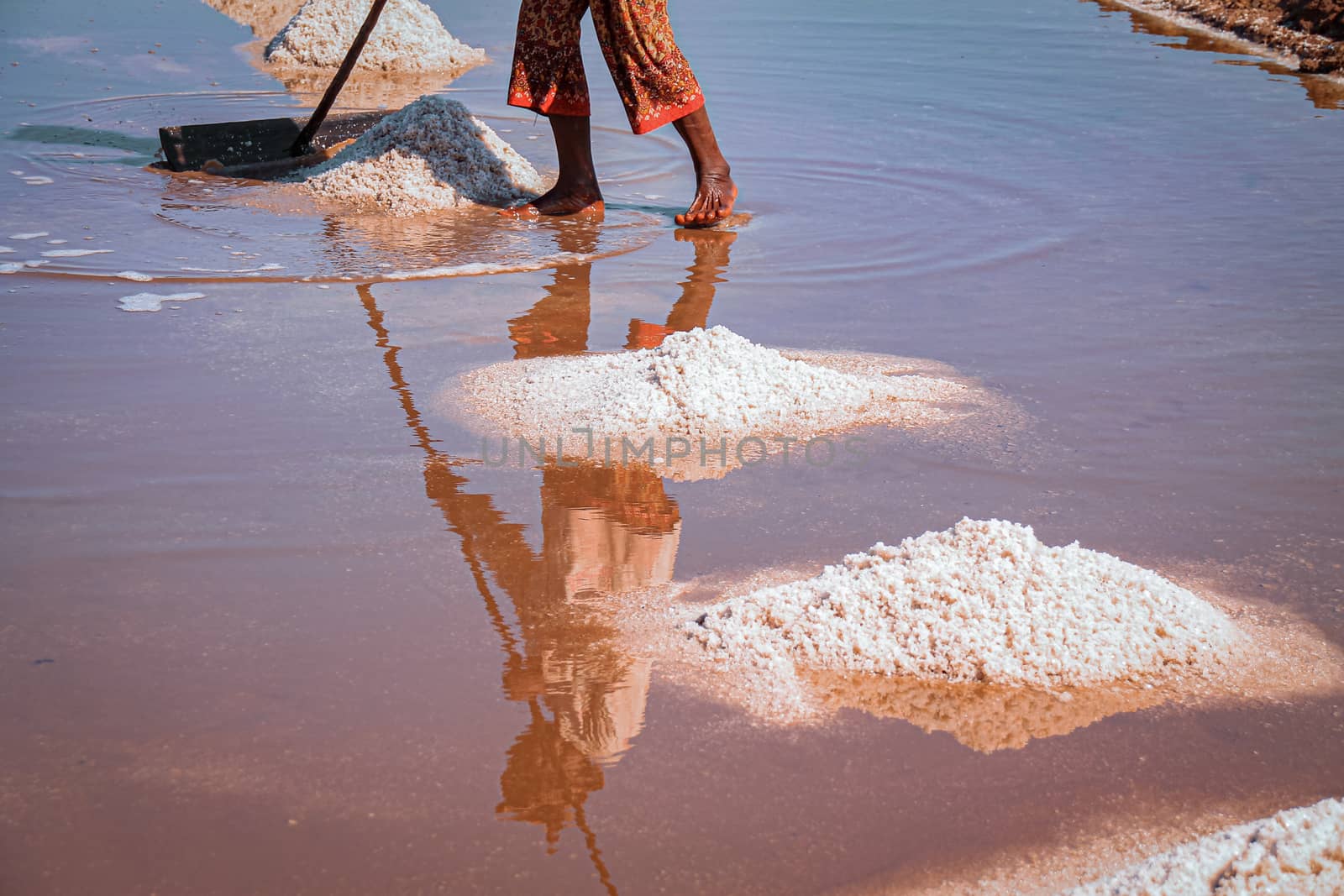 Salt Field Worker Harvesting Salt by Sonnet15