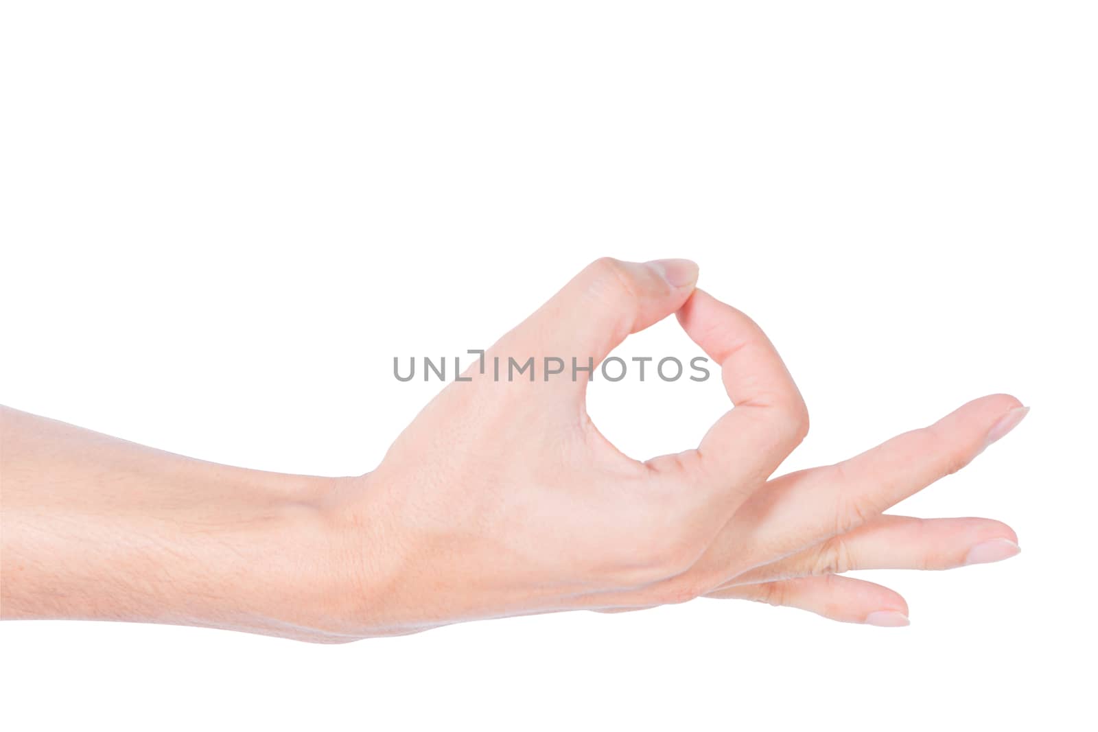 The human hand in the white background