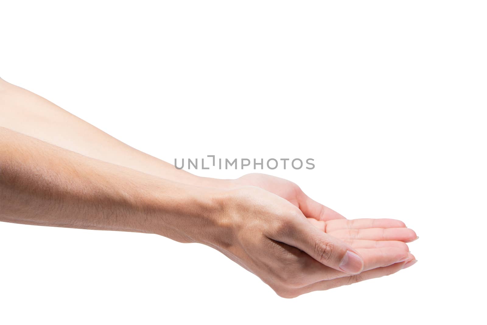 Hand gestures in a white background by Aukid