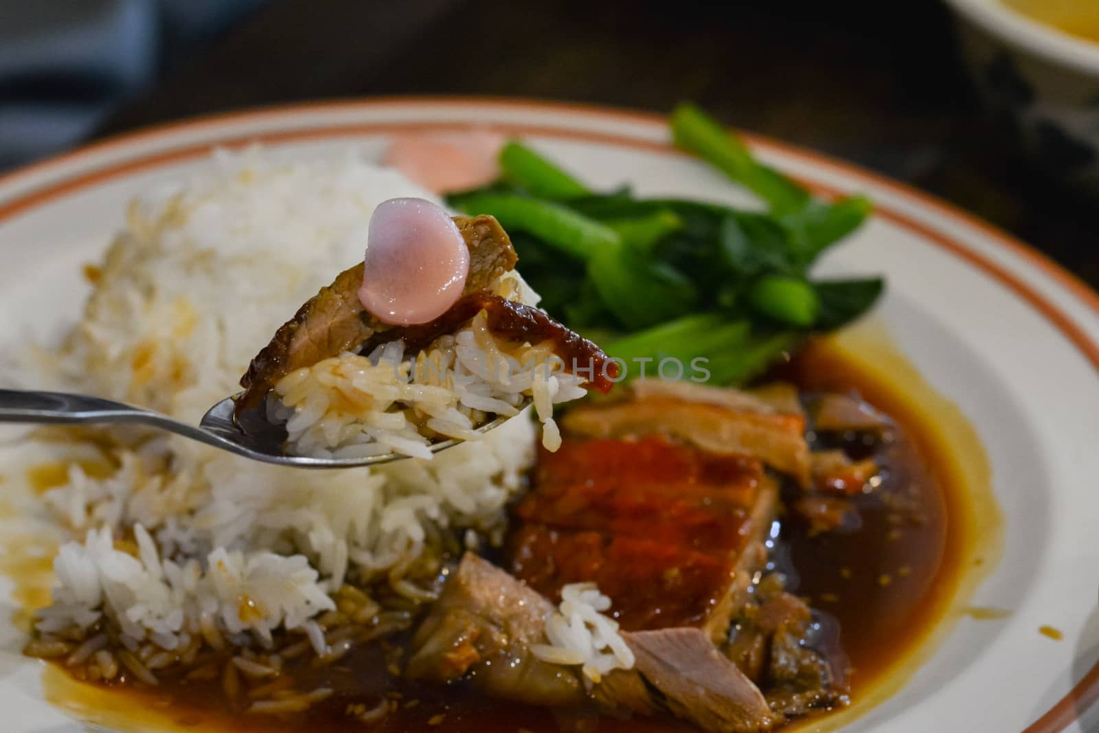 Delicious Chinese food. Rice with roast duck and boiled green vegetable on white dish.