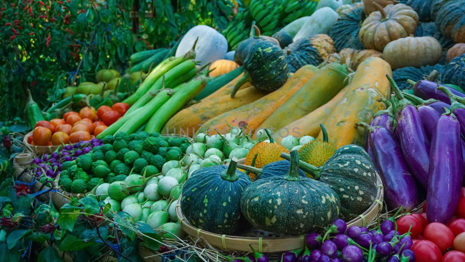 Close up colorful fresh vegetables.