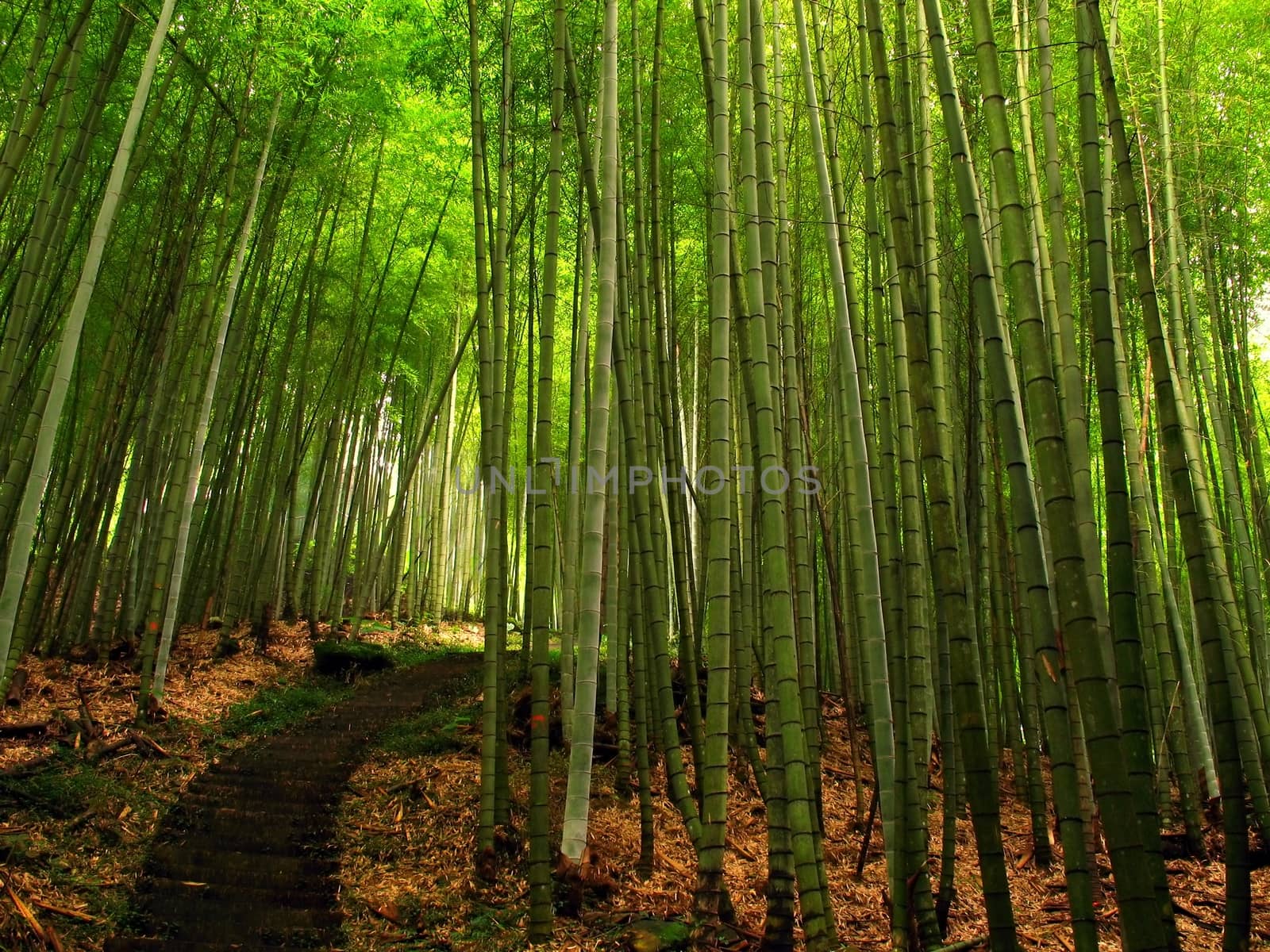 -- with a hiking path, located in Taiwan