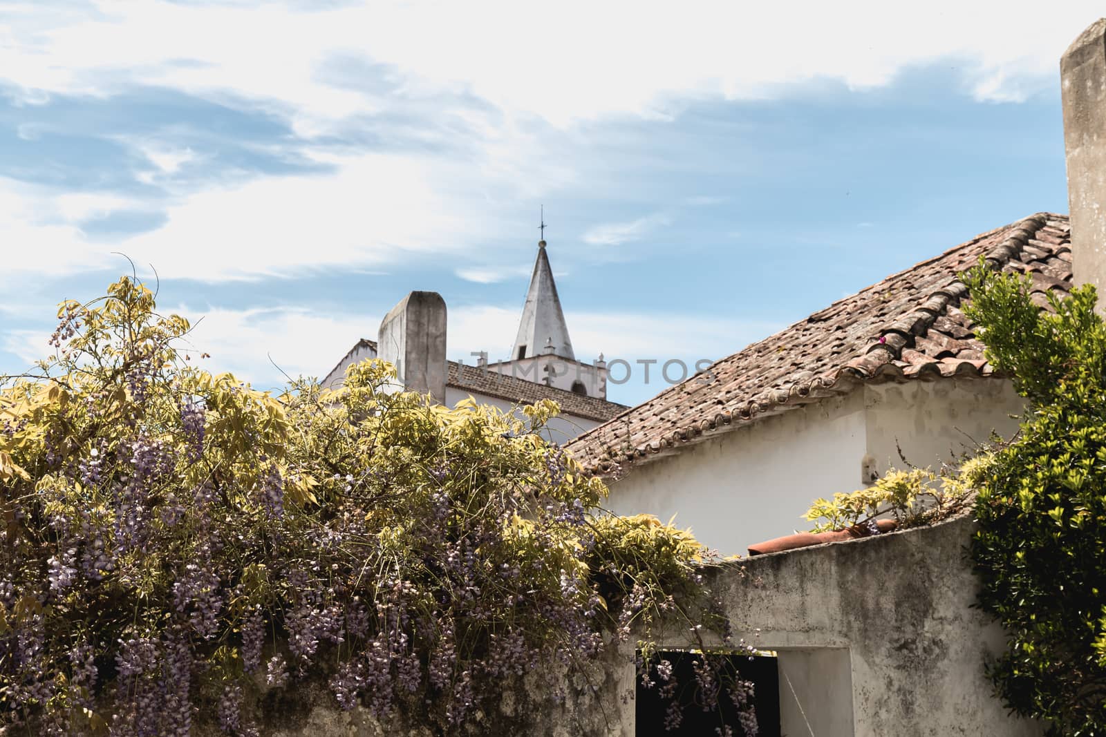 Architectural detail of small houses typical  in obidos, Portuga by AtlanticEUROSTOXX