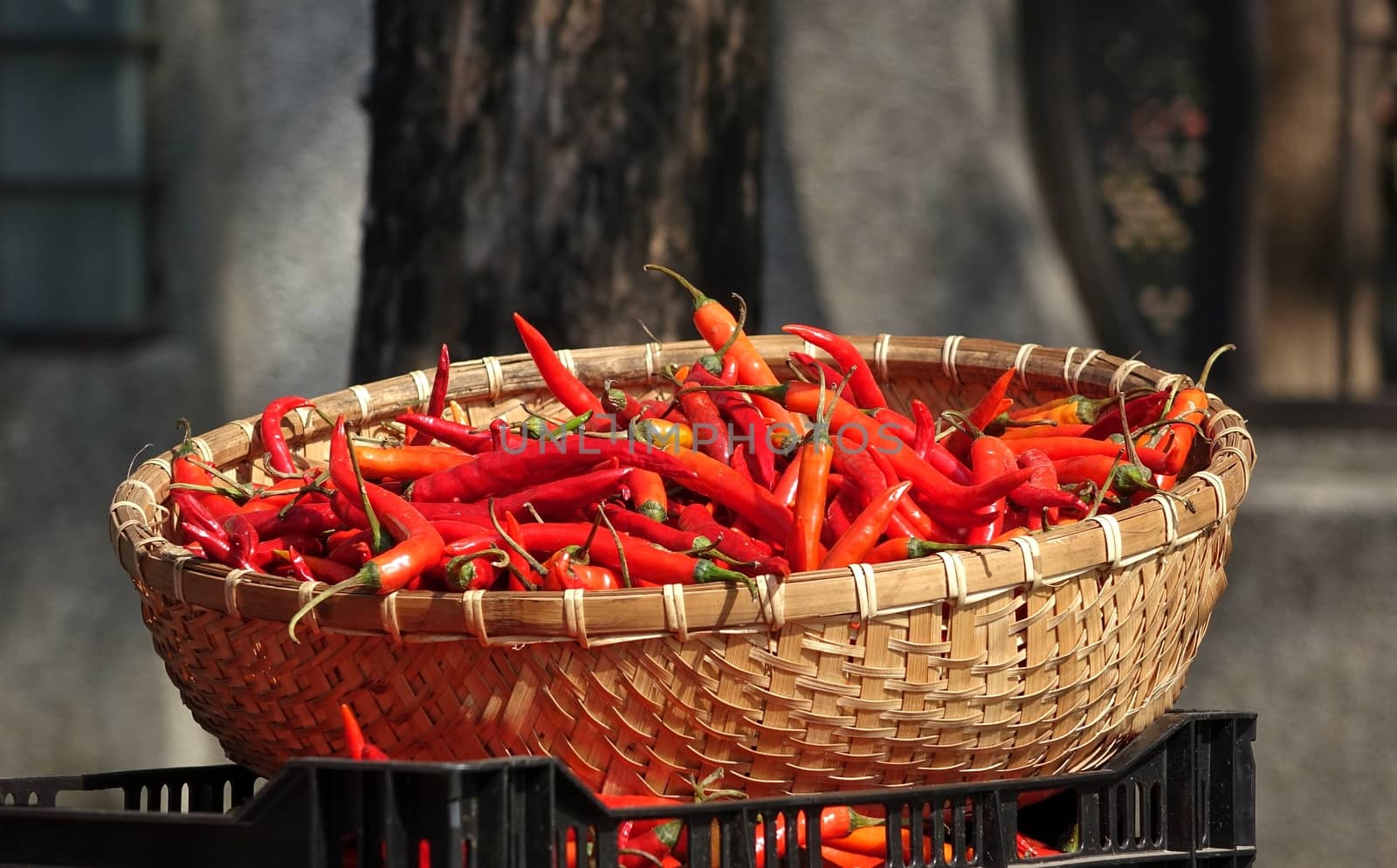 A basket with red hot chili peppers at a local market