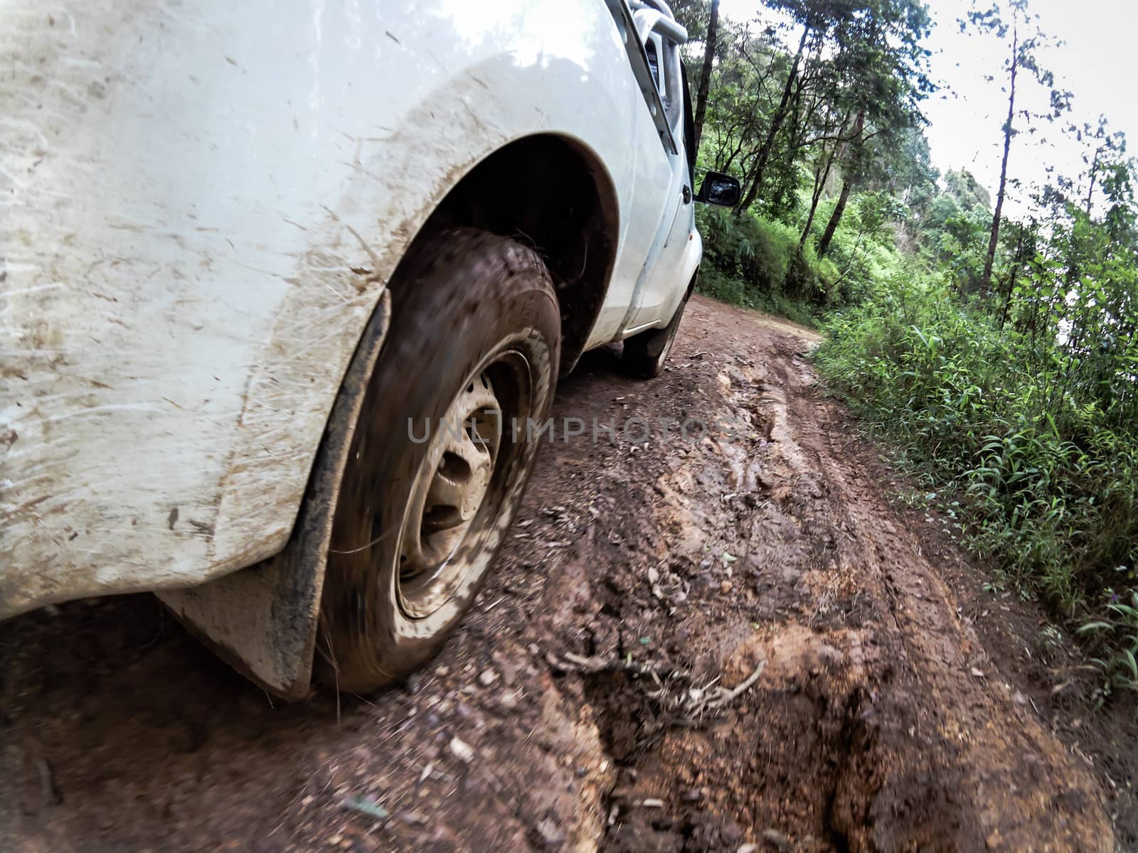 The car's wheels on the dirt road.