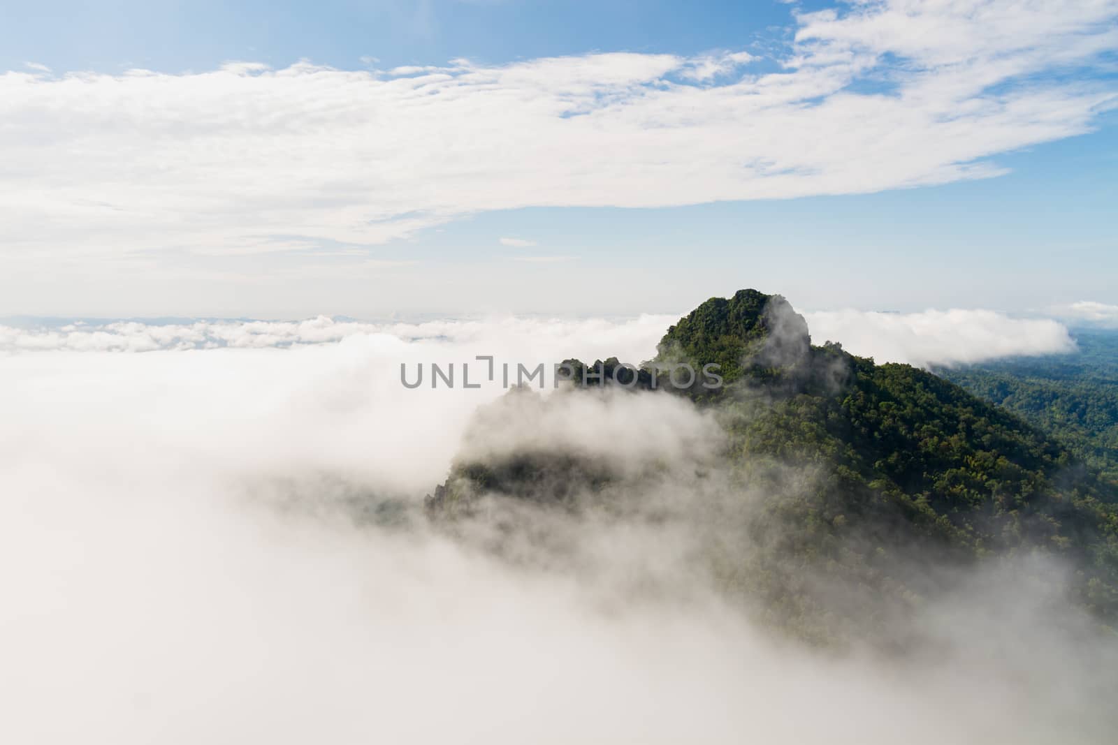 Beautiful landscape of mountain and mist. by ronnarong