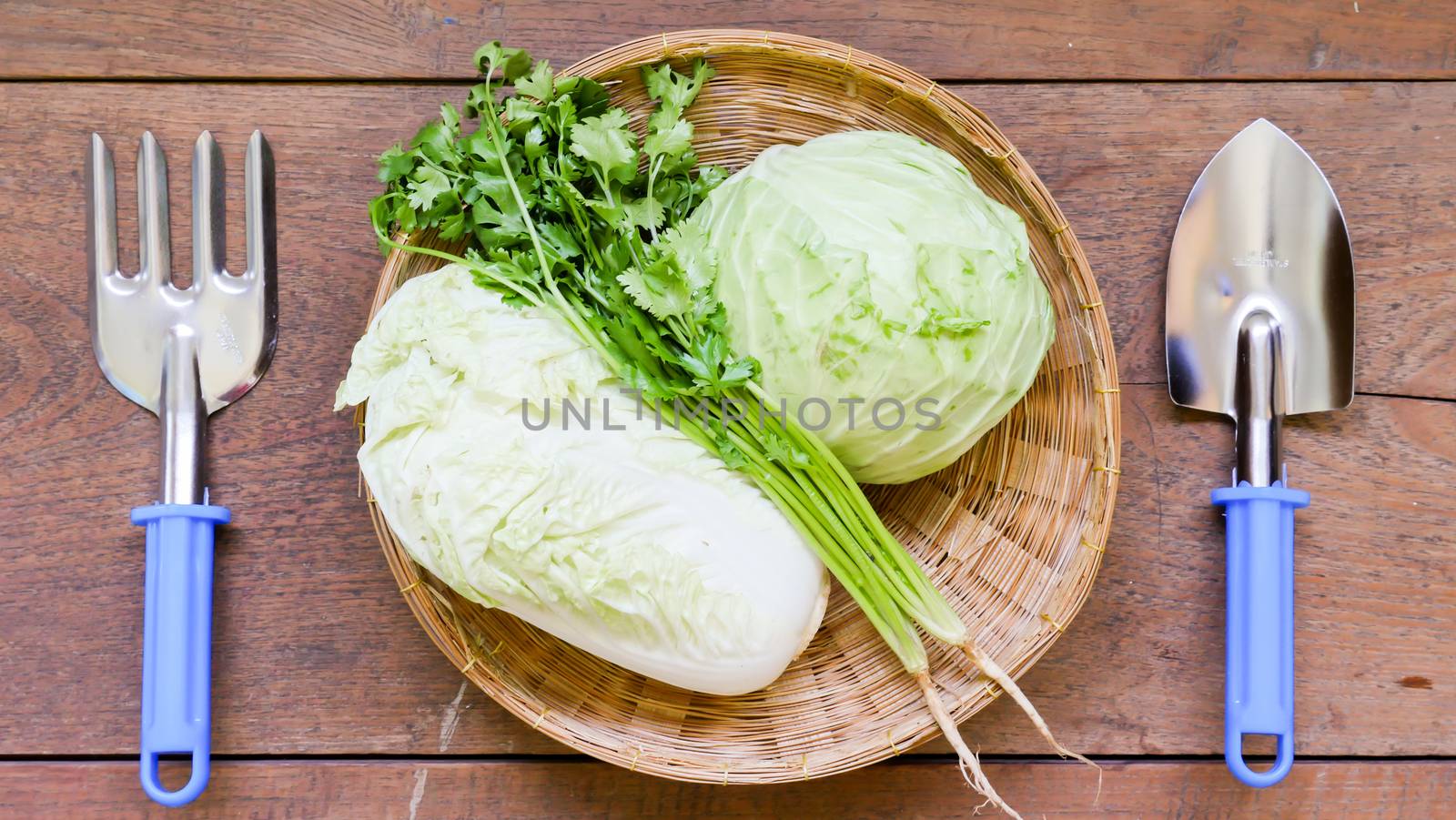 Vegetables with Gardening tools on wooden table background.