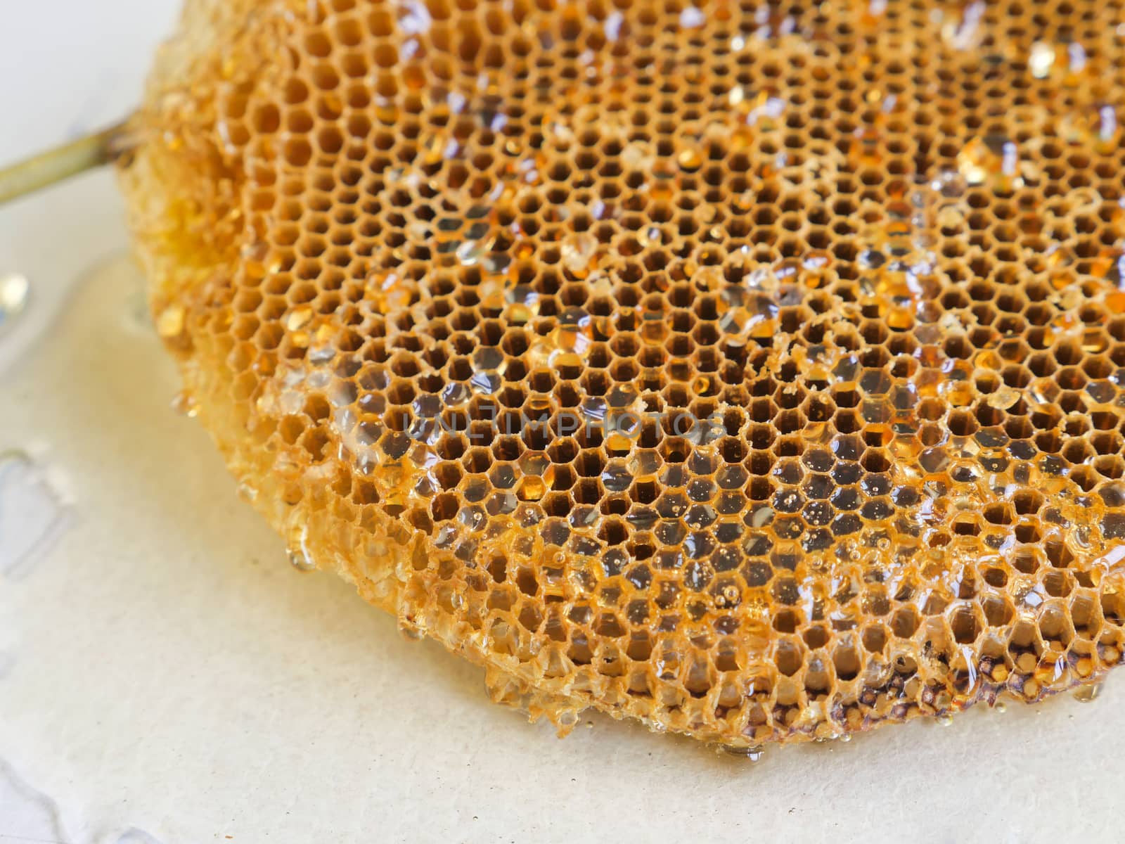 honeycomb with honey.Shallow depth of field. by ronnarong