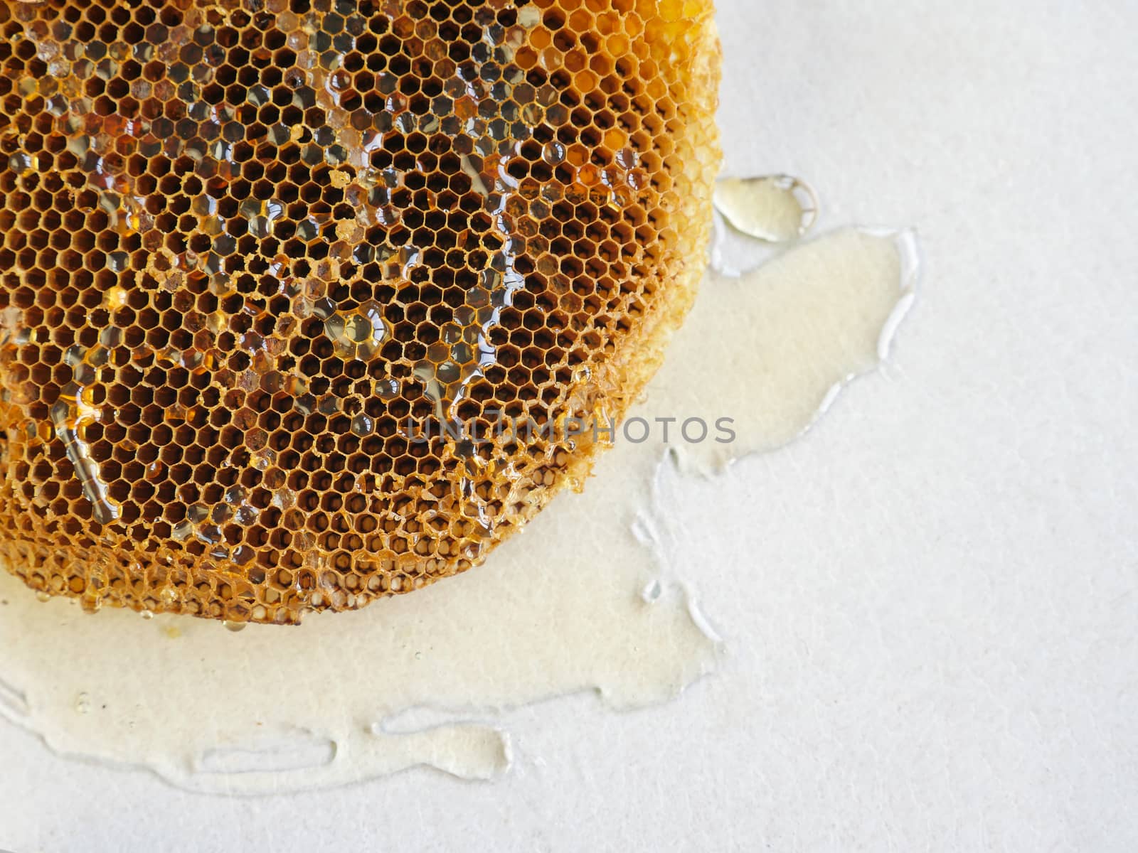 honeycomb with honey.