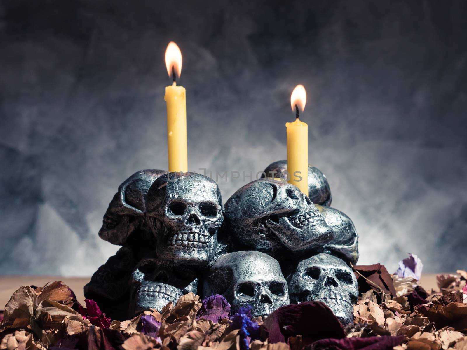 Skulls with candle burning and dried flowers on dark background. by ronnarong