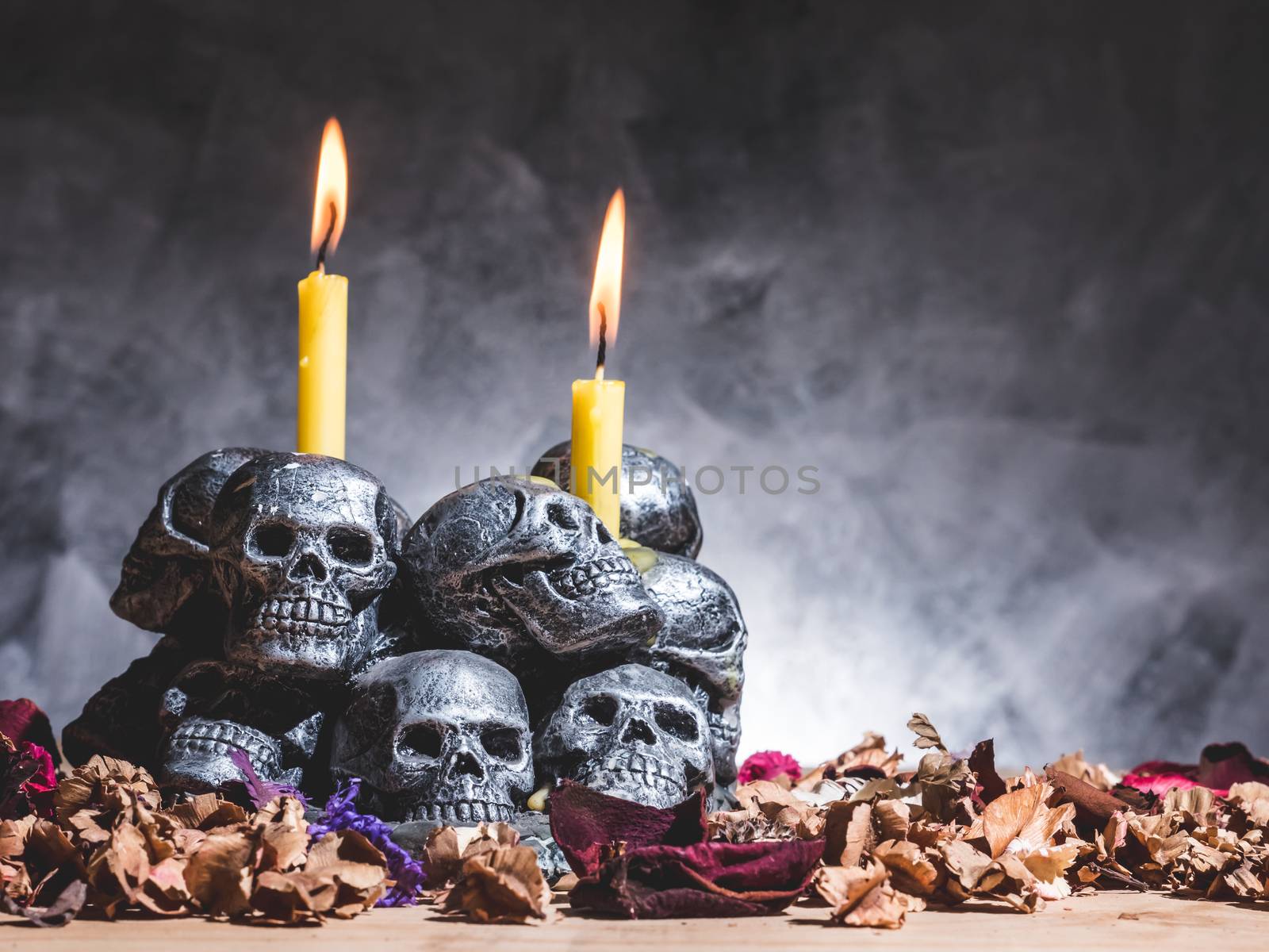 Skulls with candle burning and dried flowers on dark background.