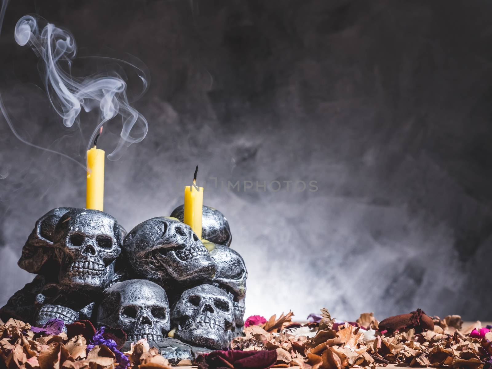 Skulls with candle and dried flowers on dark background.