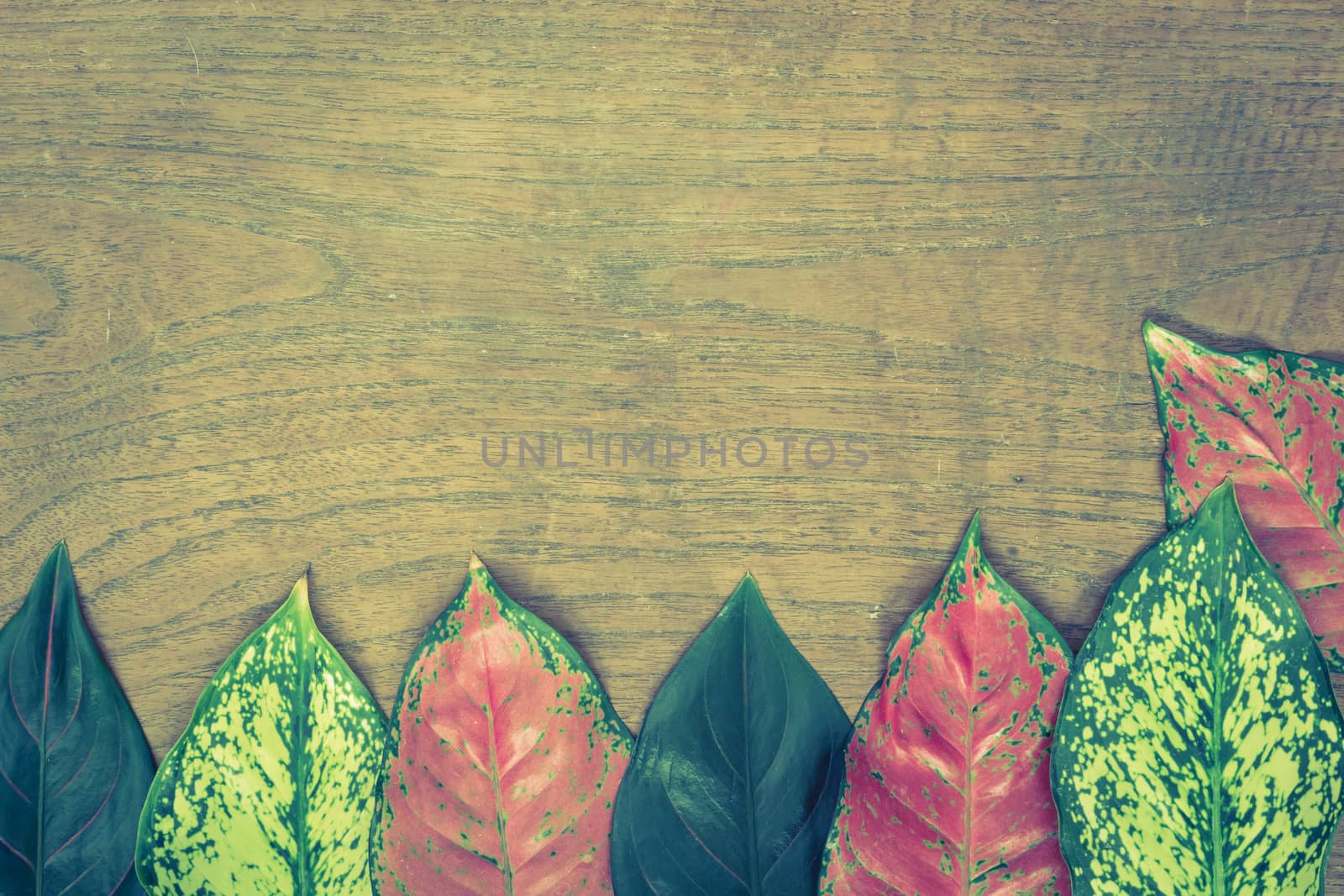 Autumn leaves on wooden background.Vintage style by ronnarong