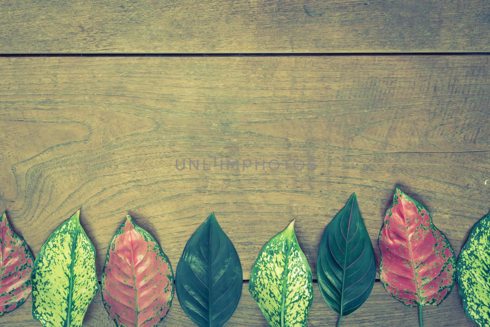 Autumn leaves on wooden background.Vintage style