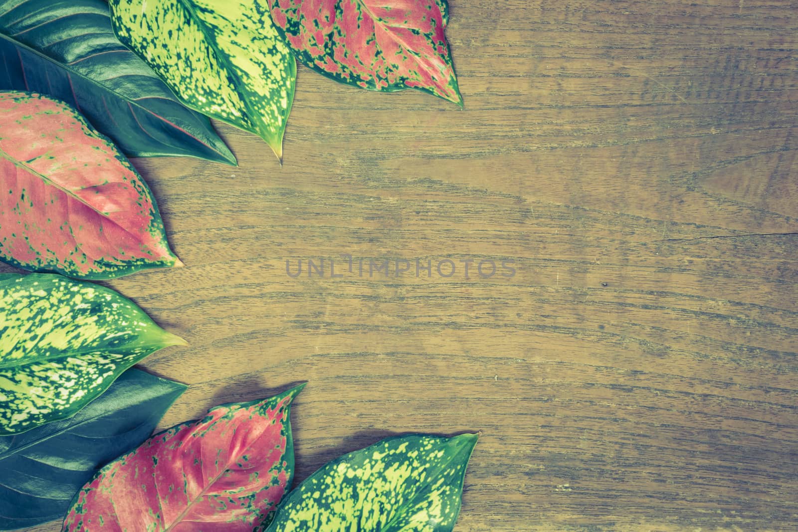 Autumn leaves on wooden background.Vintage style