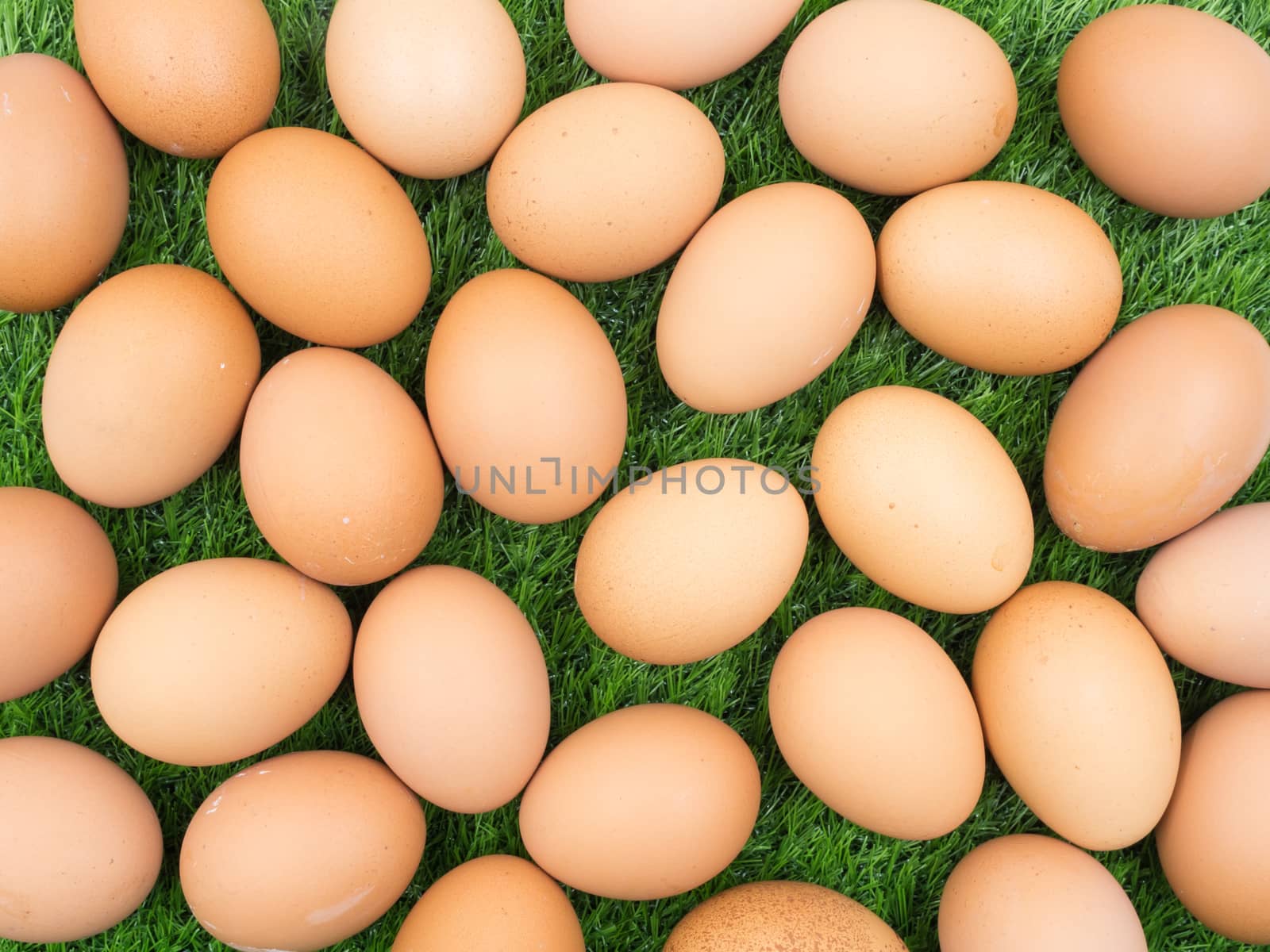 fresh eggs on grass background.