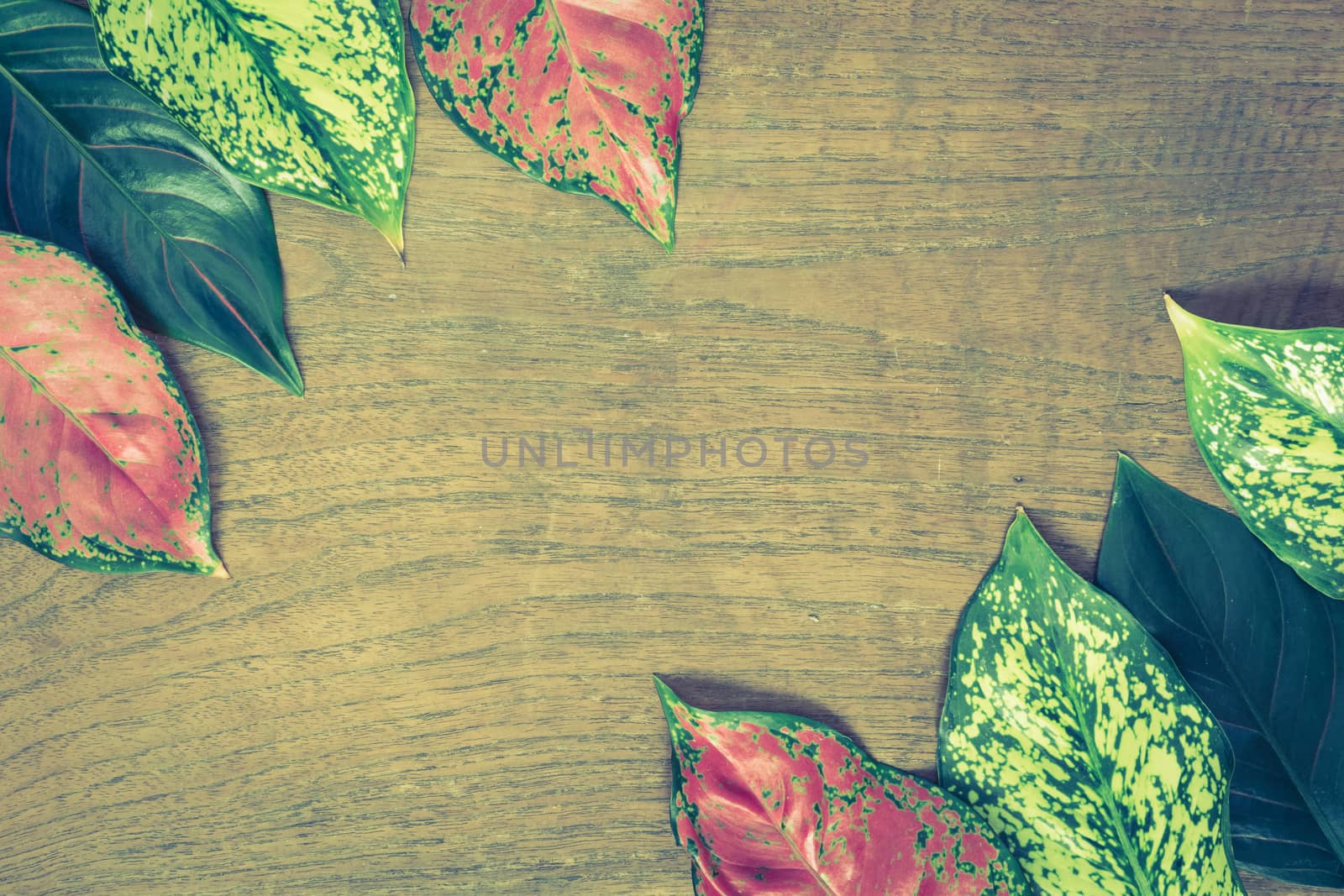 Autumn leaves on wooden background.Vintage style