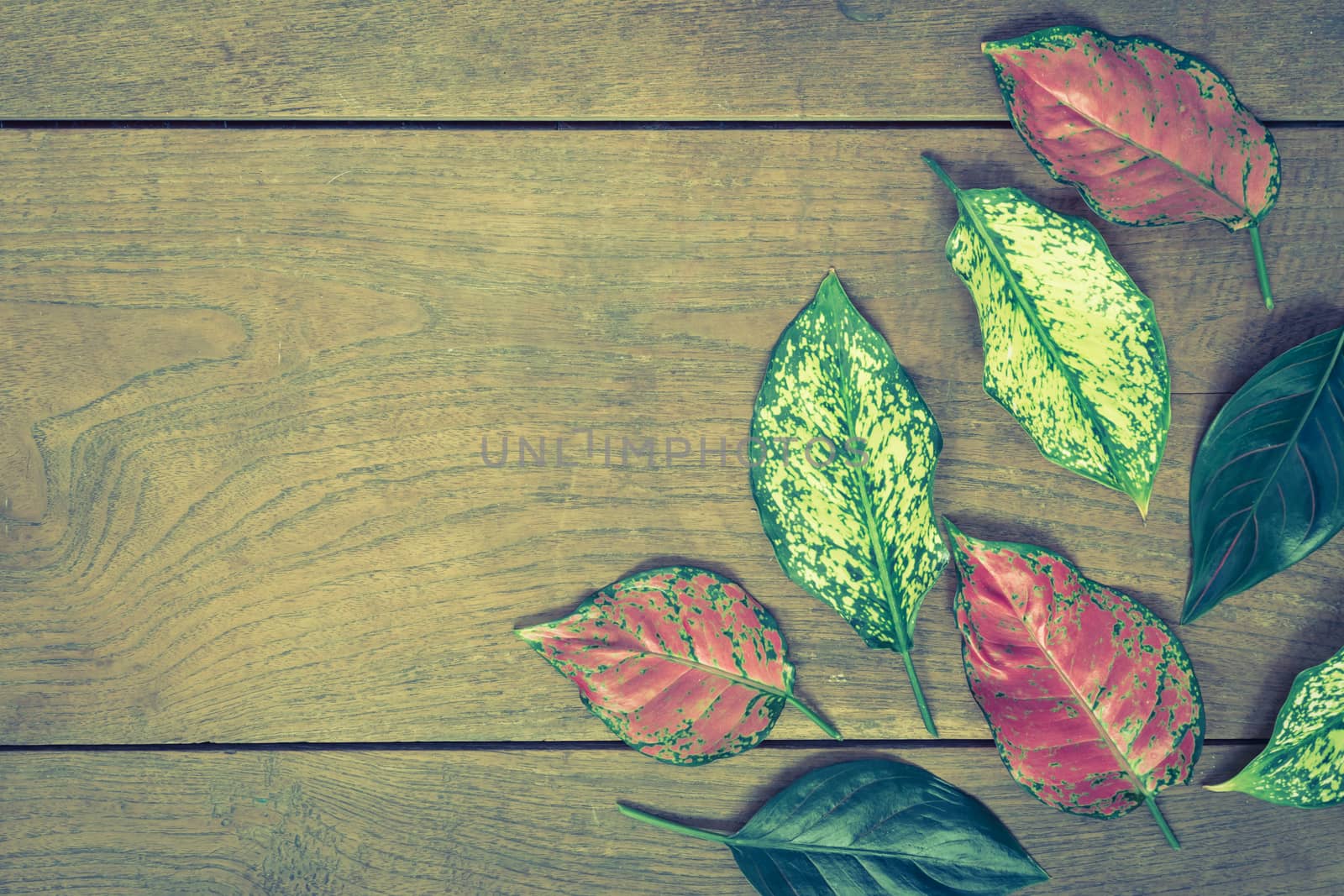 Autumn leaves on wooden background.Vintage style