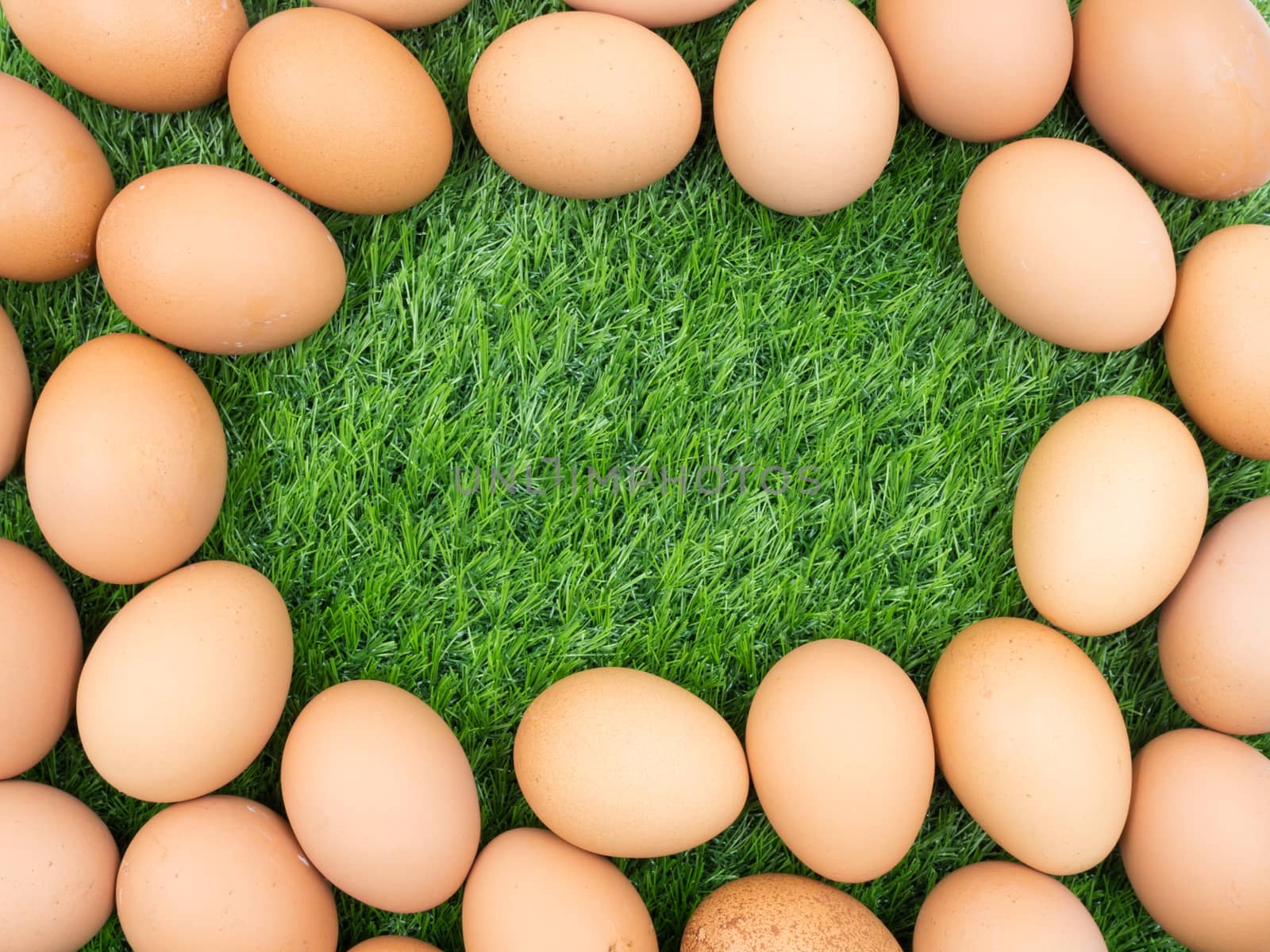 fresh eggs on grass background.