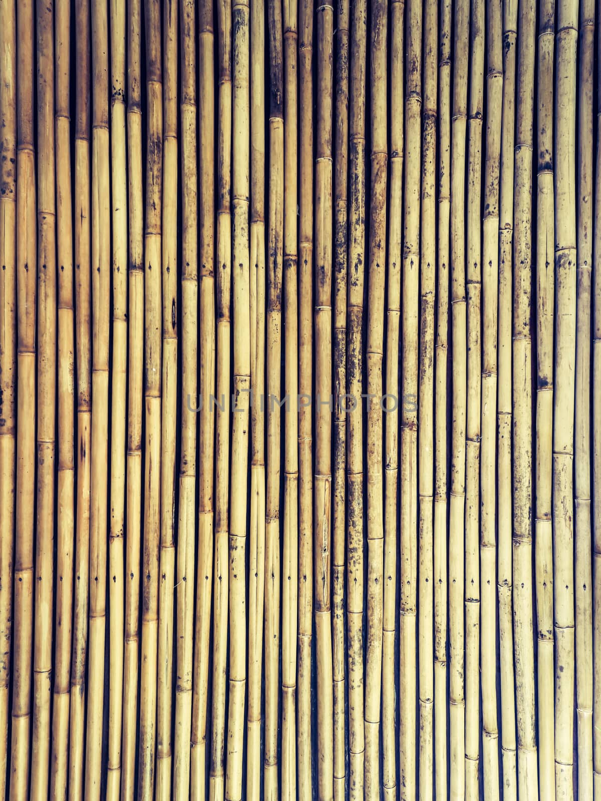 The old bamboo walls background.