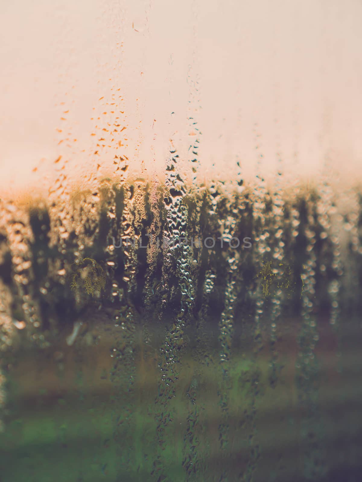 Raindrops on the glass window.