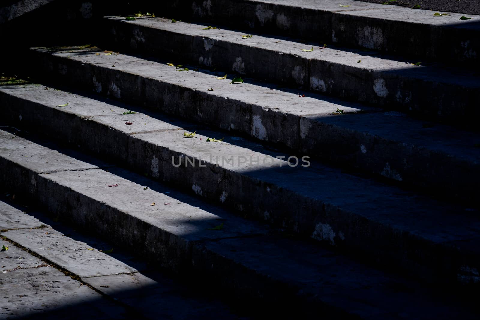 Old stone stairway and leaves in black and white