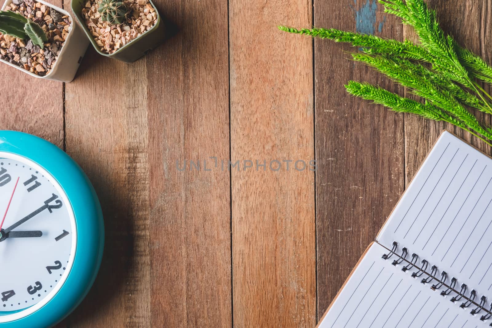 Top view of Blank notebook with clock,paddy rice and cactus on wooden table background. Free space for text