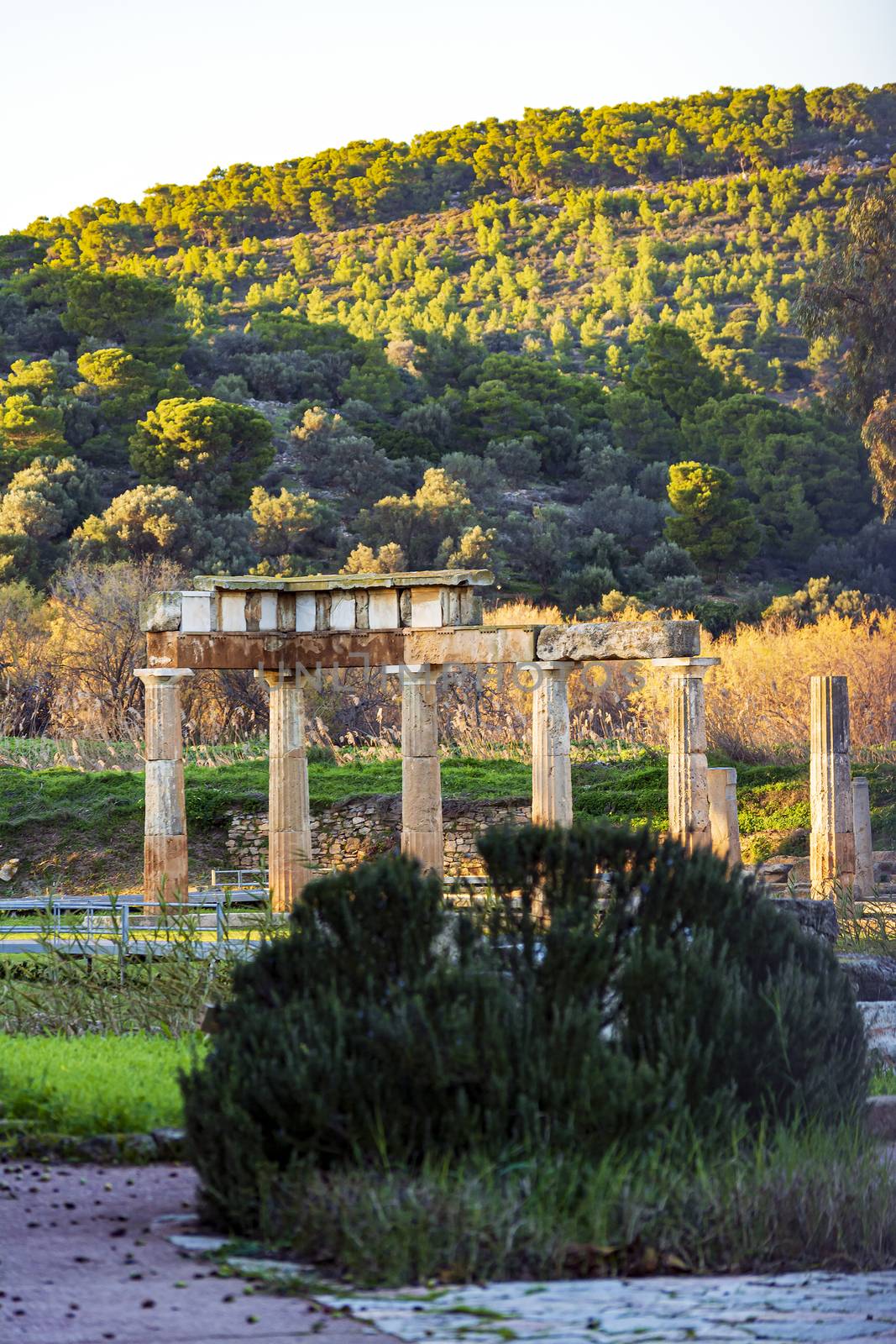 Temple of Artemis in archaeological site of Brauron, Attica, Greece by ankarb