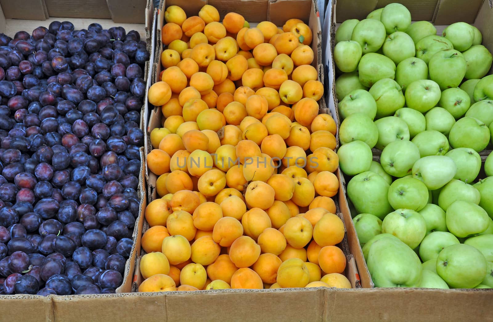 Boxes of colorful plums,nectarines and apples