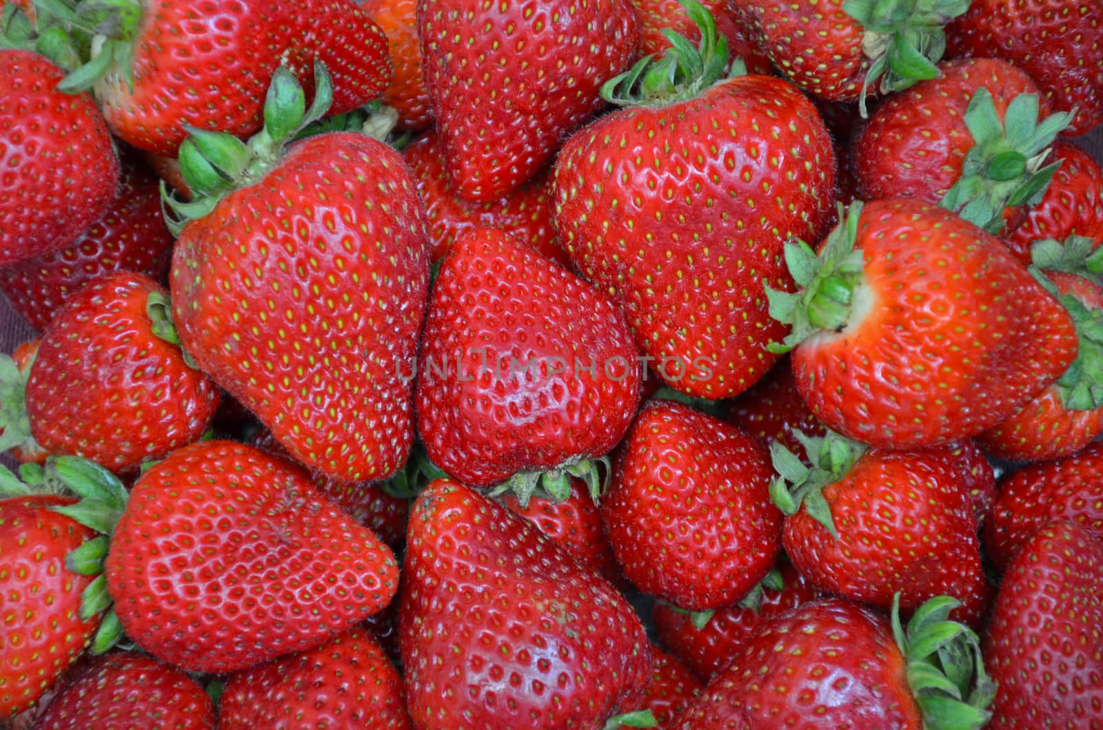 Close up of fresh red strawberries