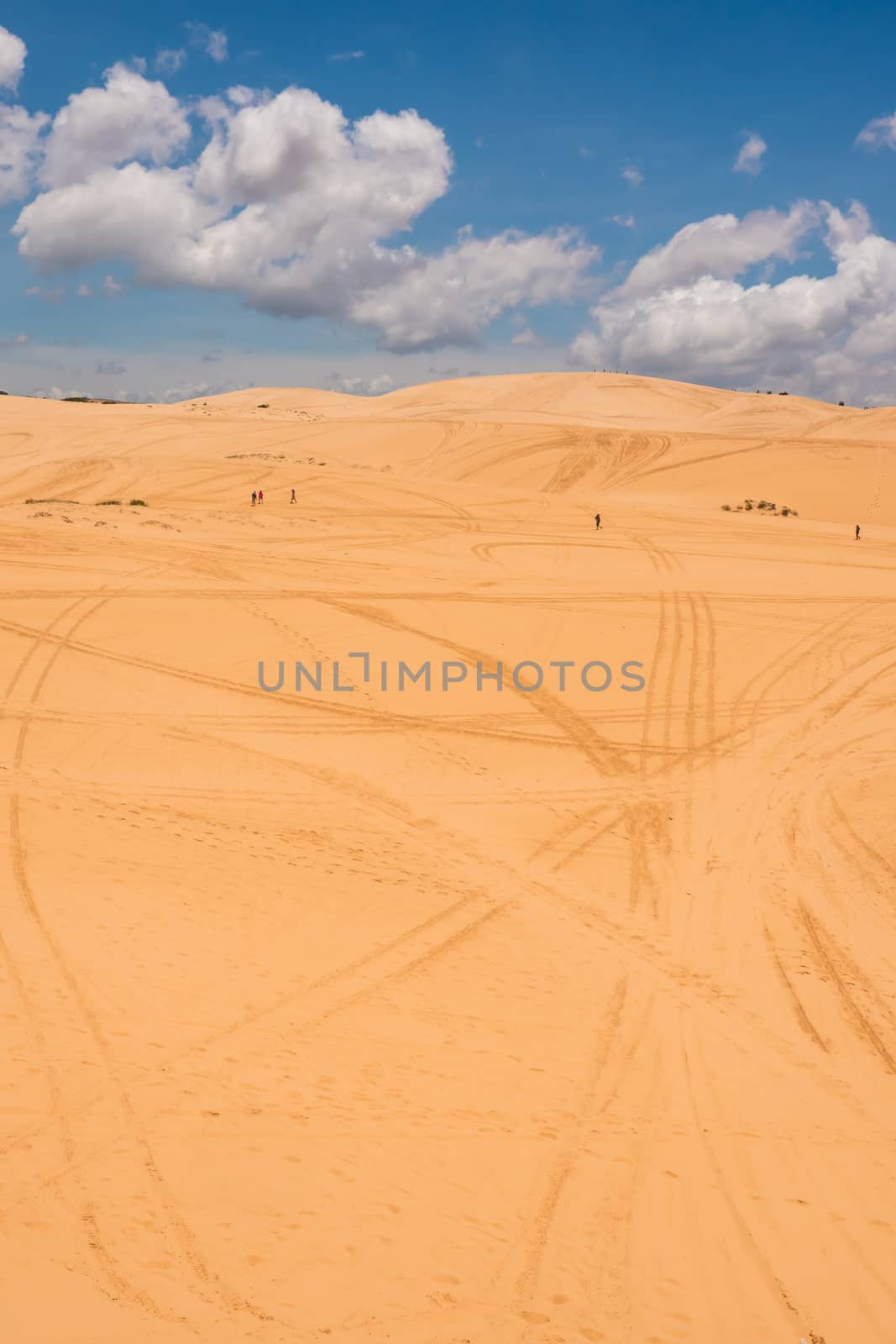 Yellow sand dunes in Mui Ne is a popular tourist destination of Vietnam by ronnarong